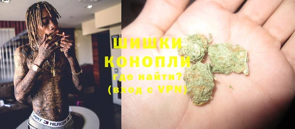 PSILOCYBIN Аркадак