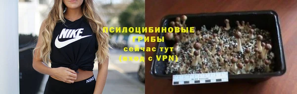 круглые Арсеньев