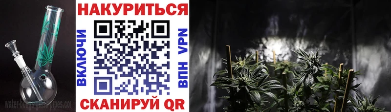 Каннабис сатива  даркнет сайт  Красный Кут 